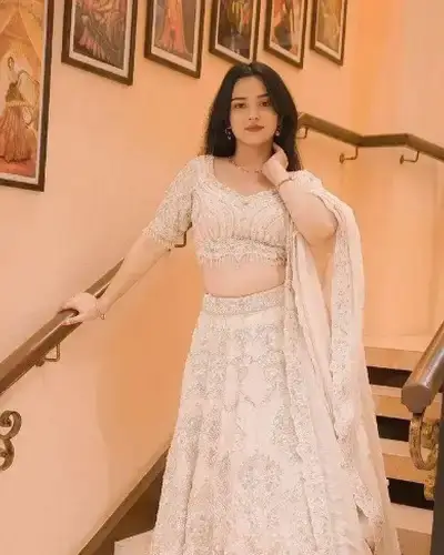 Escort Service In Shamshi